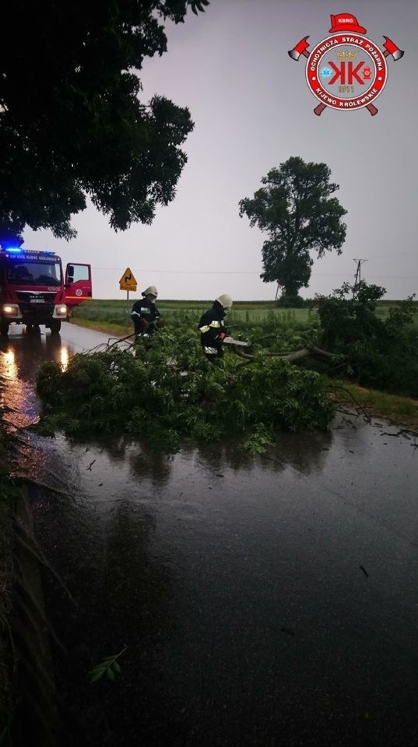 Powalone na jezdnie drzewa, połamane konary na budynku i...