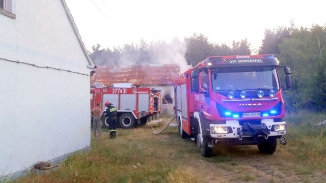 Do pożaru doszło w sobotę, 20 lipca, w Świniarach. Płonącą stodołę gasiły jednostki OSP Skwierzyna oraz zawodowe jednostki z Międzyrzecza.

Pożar wybuchł około godz. 4.45. Na miejsce zostały wysłane jednostki strażaków. Palił się stodoła w Świniarach. Na miejsce akcji dojechały średni i ciężki wozy gaśnicze oraz drabina. Na szczęście wnętrze stodoły było puste.

Gdy na miejsce dotarła OSP Skwierzyna stodołę gasiła już jednostka OSP Świniary. Skwierzyńscy strażacy pomogli opróżnić znajdujące się tam resztki siana i dogasić palące się krokwie oraz elementy drewniane, które naruszył ogień.

WIDEO: Uprawa blisko 1200 sadzonek konopi indyjskich zlikwidowana – wspólna akcja policjantów z Międzyrzecza i Gorzowa
