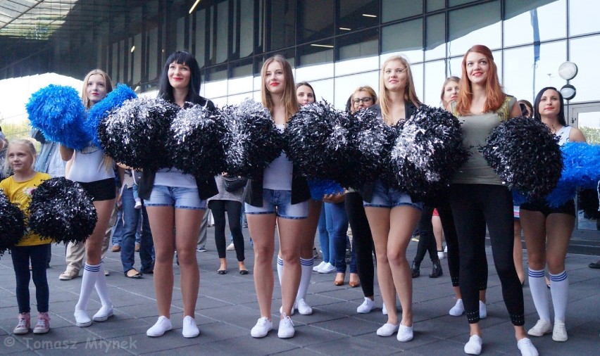 Cheerleaders Polski Cukier Toruń . Sprawdź, czy jesteś...