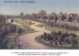 Park przy ulicy Ciepłej w Malborku tak teraz wygląda [ZDJĘCIA]. Projekt z budżetu obywatelskiego