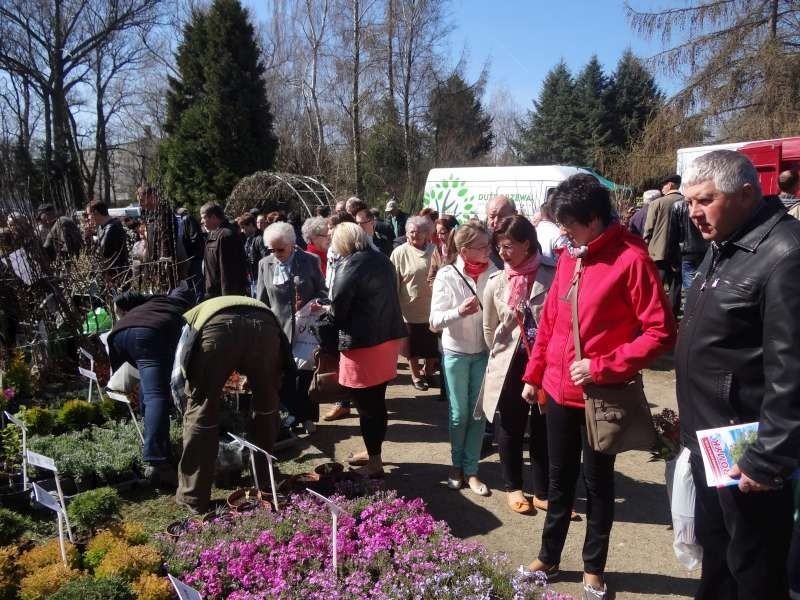 Targi Rolno - Ogrodnicze w Marszewie IV 2013