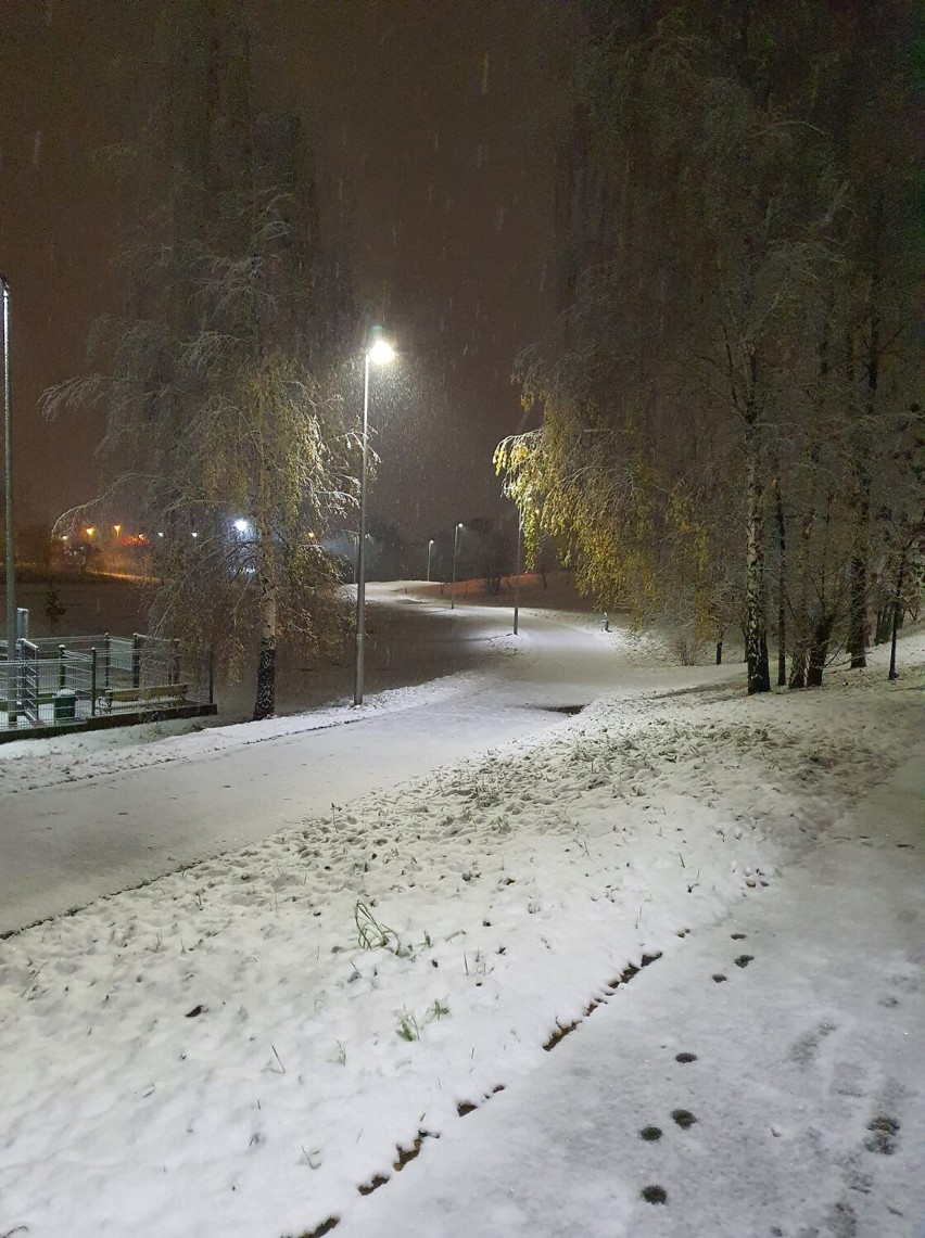 Pierwszy śnieg żorzanie uwiecznili na zdjęciach.