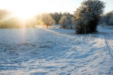 Piękna zima w Żarach! W czwartek 19 stycznia warto wybrać się na zimowy spacer. Jest pięknie! Biało i słonecznie