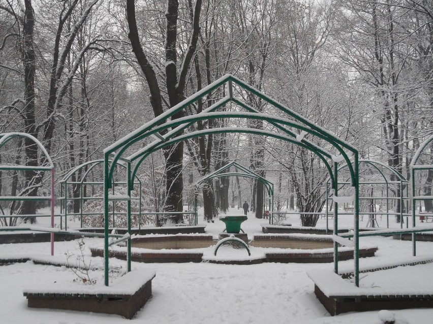 Zima w Żorach jest piękna i biała. Zobacz nasz Rynek, park przy ul. Rybnickiej i inne rejony miasta