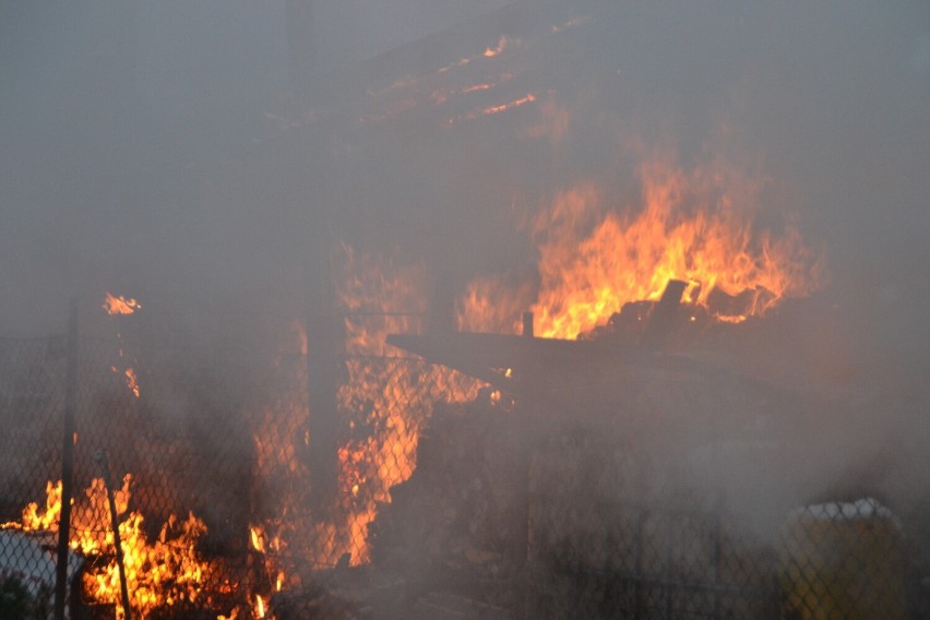 Pożar na terenie ogródków działkowych w Gorlicach. Ogień pojawił się w jednym z domków