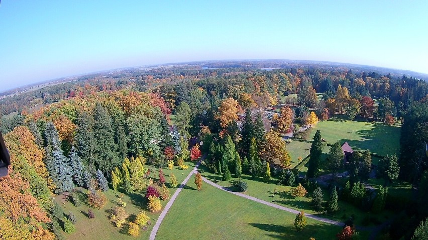 Arboretum Wirty to najstarszy ogród botaniczny w Polsce!