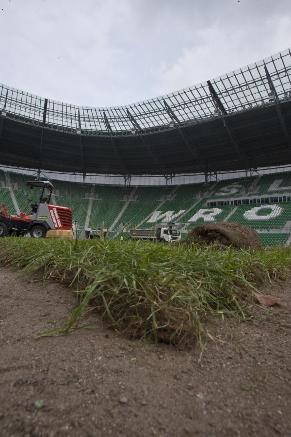 Wrocław: 100 tysięcy euro na nową murawę stadionu na Pilczycach (ZDJĘCIA)