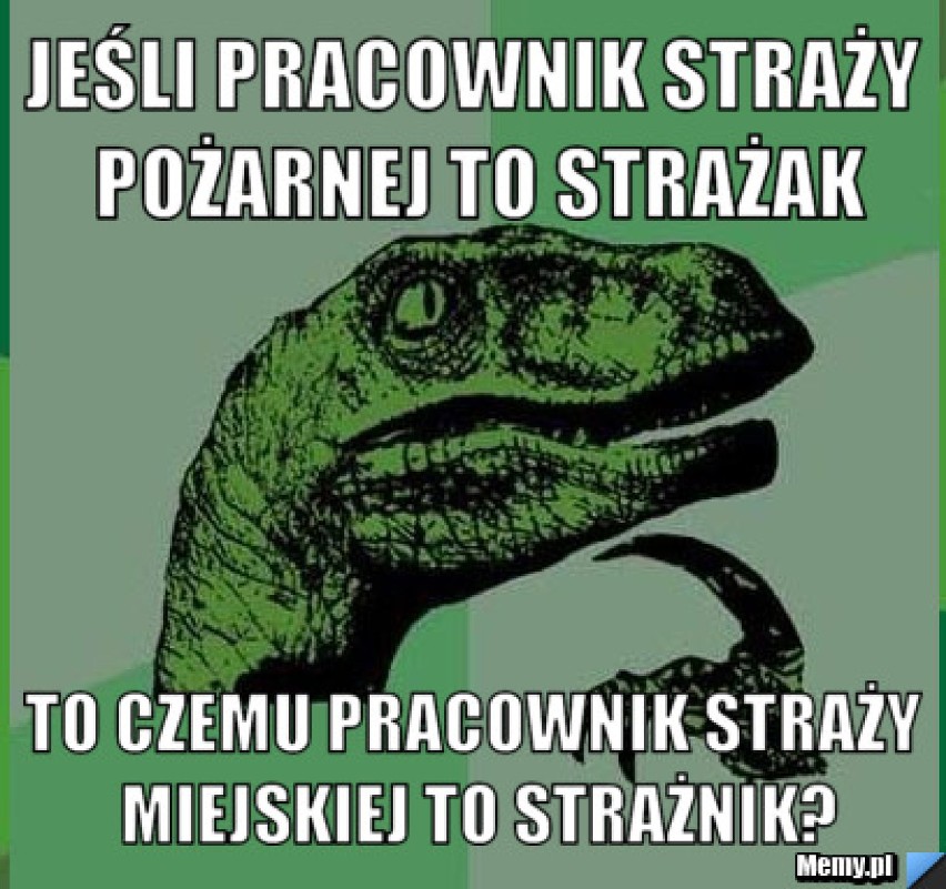 Dzień Strażnika Miejskiego 2015 - najlepsze MEMY [śmieszne obrazki]