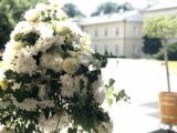 Ogrody księżnej Izabeli- niezwykła wystawa florystyczna w Puławach. Zobacz zdjęcia     