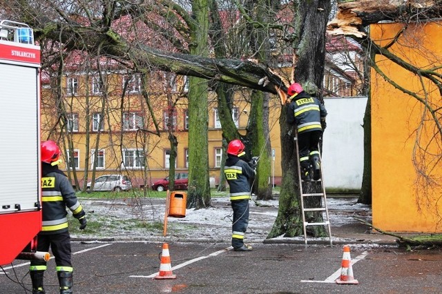 Orkan Ksawery nad powiatem białogardzkim [ZDJĘCIA]