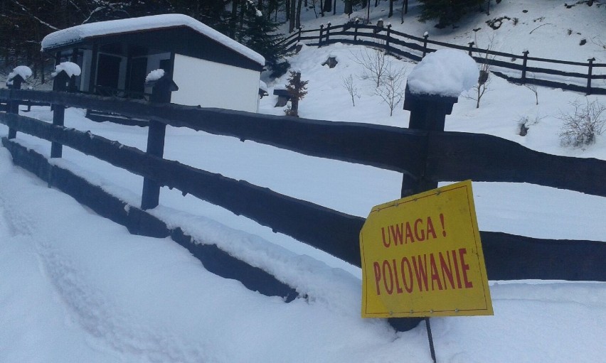 Takie tablice są rozstawione na granicy powiatów suskiego i...