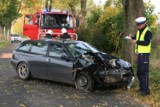 Świecie. Pijana 55-letnia kobieta uderzyła autem w drzewo