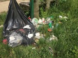Zabrze: Spacery w towarzystwie śmieci. Puste opakowania w parkach to norma ZDJĘCIA