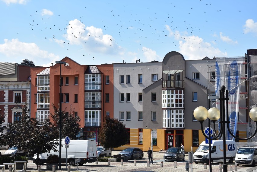 Plac Wolności w Rybniku nieco pstrokaty. A miały być pastele...