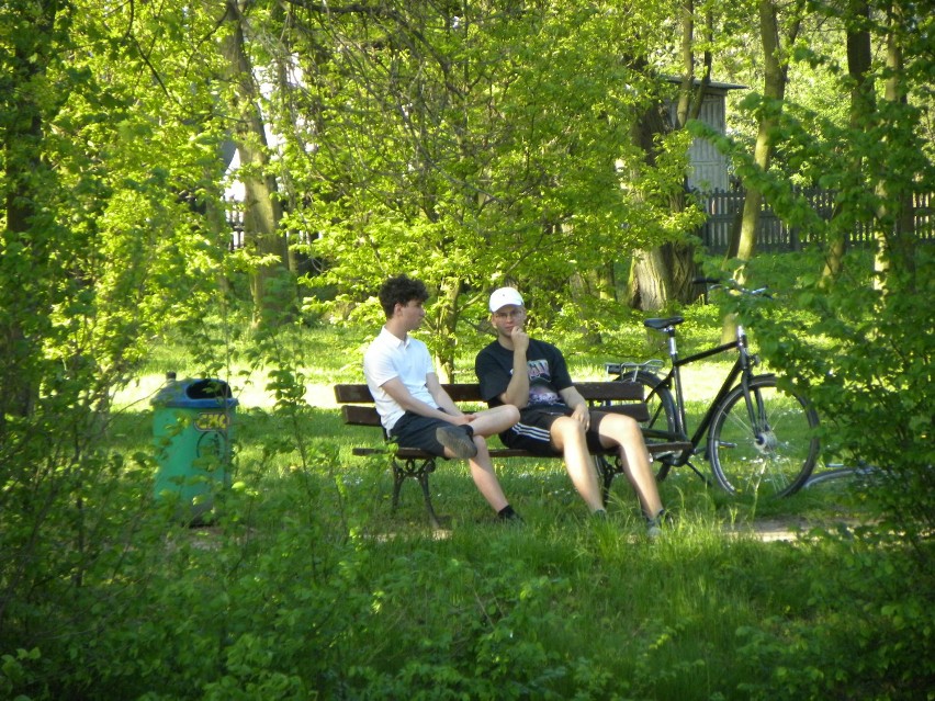 Park w Szczytnikach w wiosennej odsłonie. ZDJĘCIA