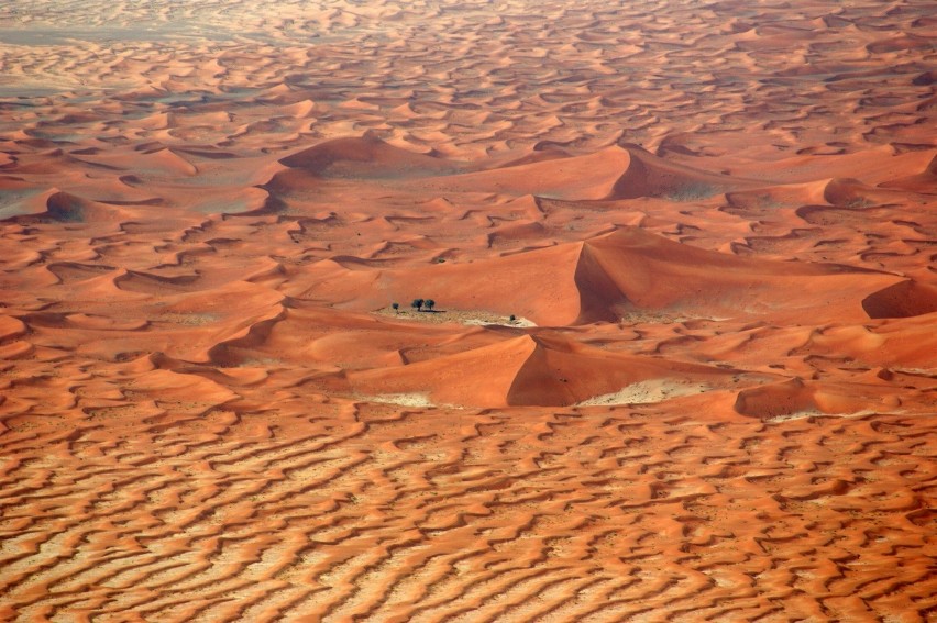 „Diuna” Denisa Villeneuve to wyprawa do Jordanii i ZEA...