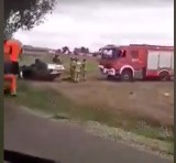 W Turznie auto wypadło z drogi i dachowało. Jechała kobieta z 2-letnim dzieckiem [zdjęcia]