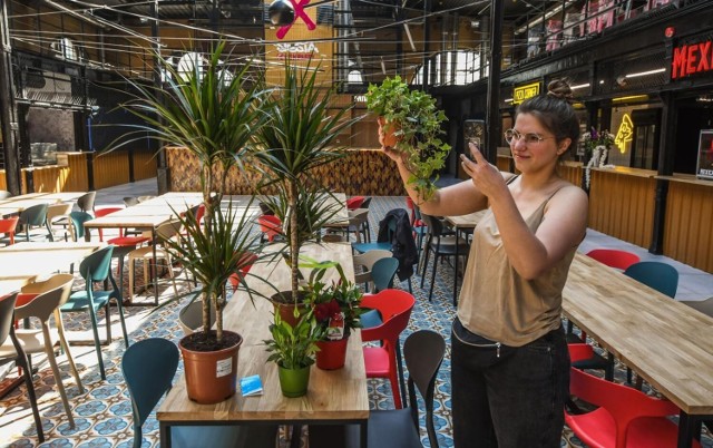 Mieszkańcy w maju pomogli dekorować halę roślinami, ale czy te dotrwają do otwarcia?