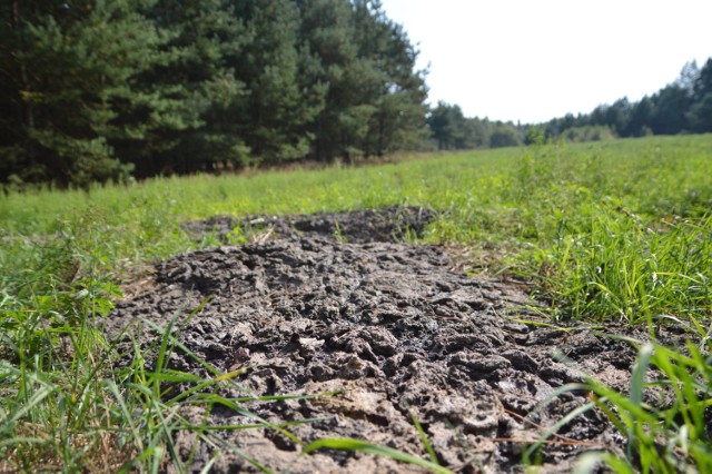 Zdaniem wójta Parchowa i urzędnika, te fekalia wylał nielegalnie któryś z rolników