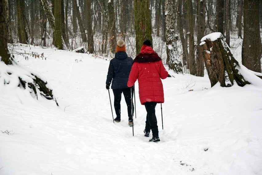 Park Poetów. 

Sporych rozmiarów teren rozciąga się w...