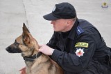 Malbork. Szkolenie policyjnych psów na lotnisku 22 BLT 