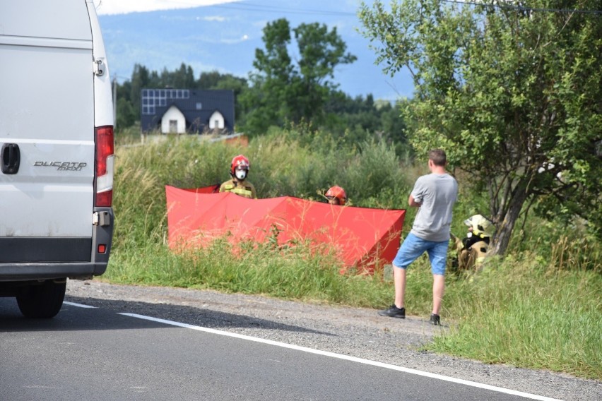 Białka Tatrzańska. Koń wpadł pod samochód. Zwierzę niestety trzeba było uśpić