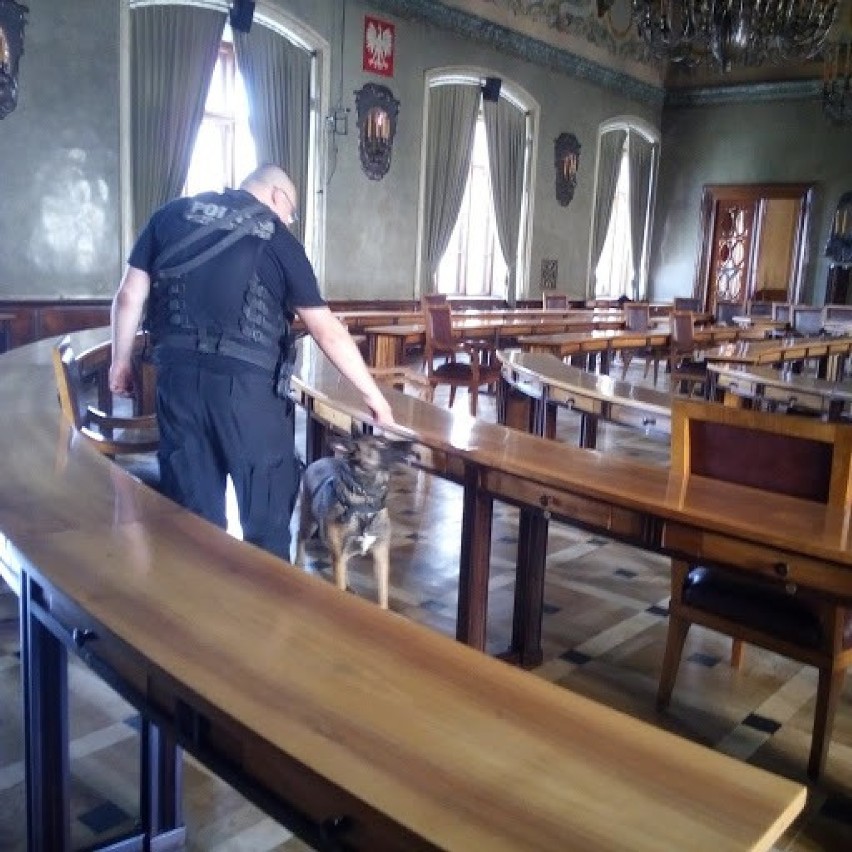 Policyjne psy szkoliły się w krakowskim magistracie [ZDJĘCIA]