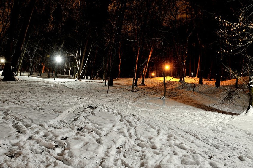 Zima na Wzgórzu Zamkowym w Przemyślu. Zdjęcia internauty Jarosława Piaseckiego