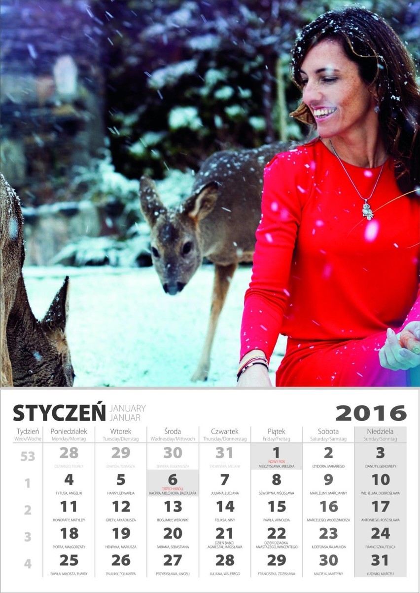 Niezwykły kalendarz Dzikiej Ostoi. W roli głównej dziki, sarny i jeże