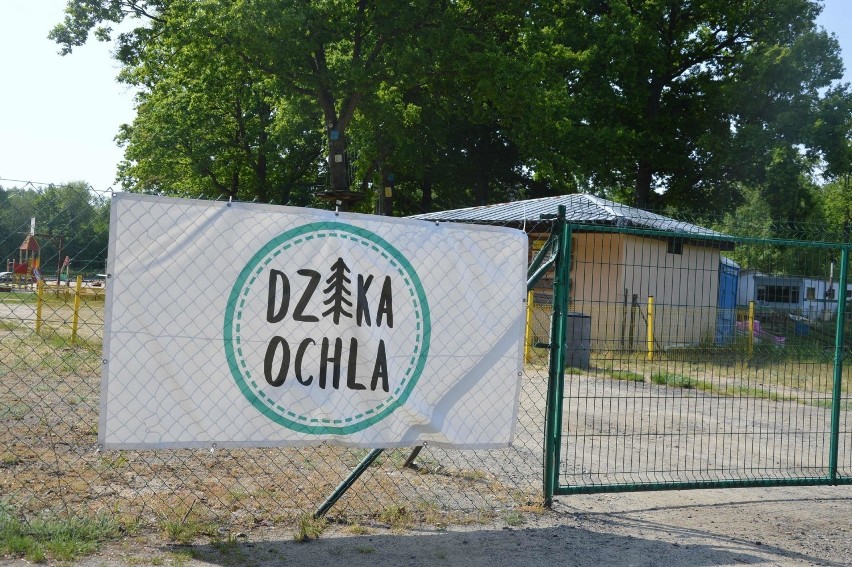 Teren Dzikiej Ochli