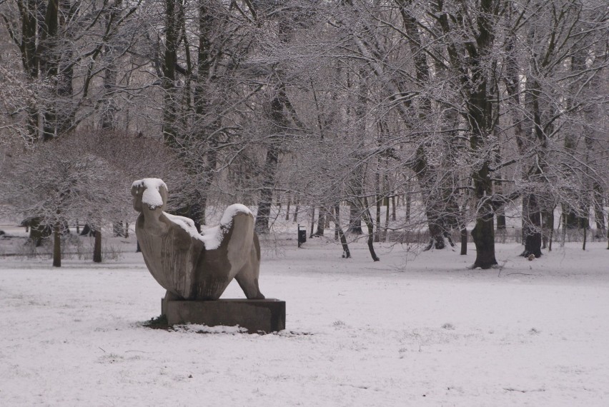 Park miejski w Kaliszu w zimowej odsłonie