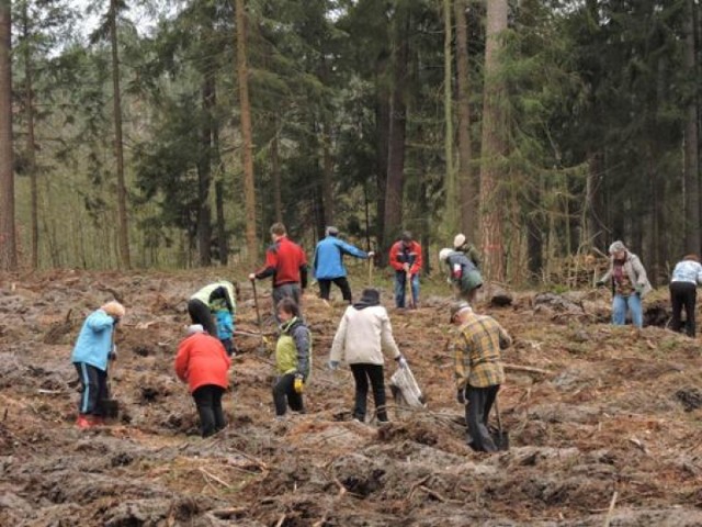 mieszkańcy Olsztyna sadzili las