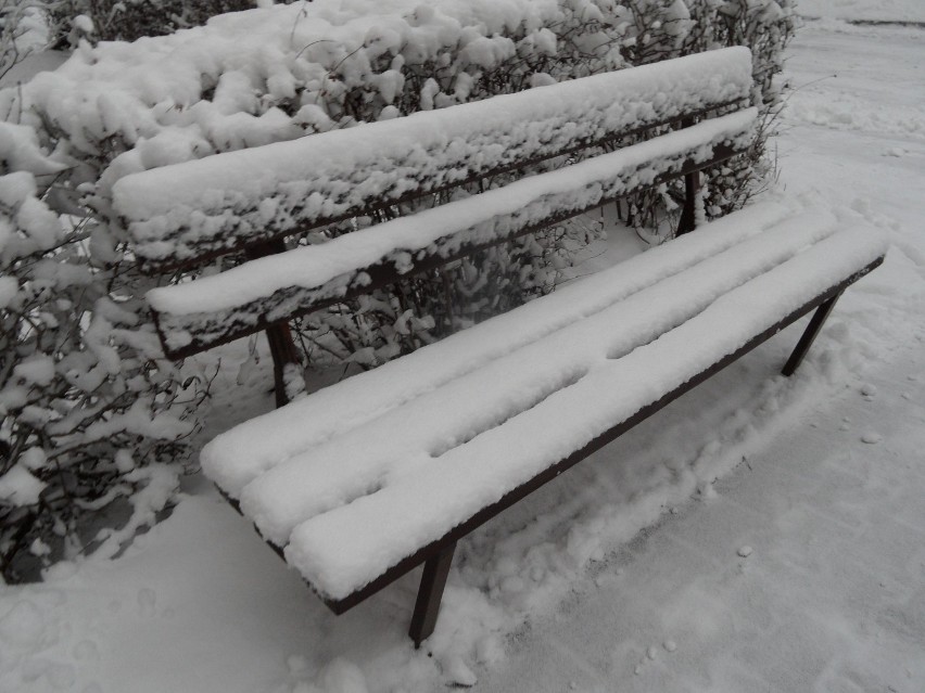 Zima Żory: Znowu popadał śnieg. Zobacz aktualne FOTO!