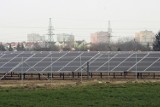 W Legnicy powstaje pierwsza taka elektrownia słoneczna [ZDJĘCIA]
