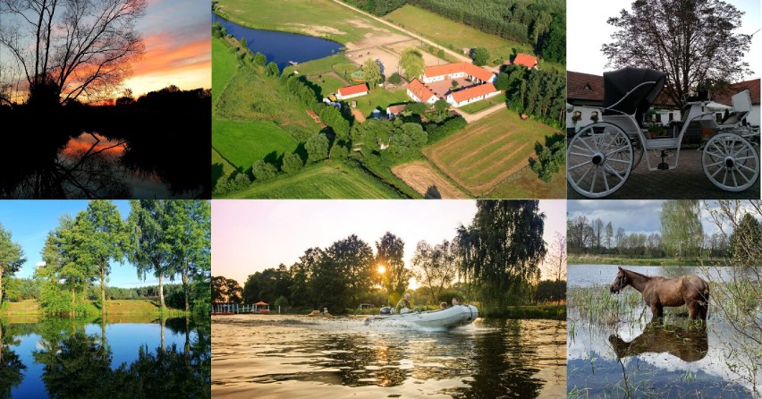 W Gościńcu Borki Wielkie na odwiedzających czeka mnóstwo...