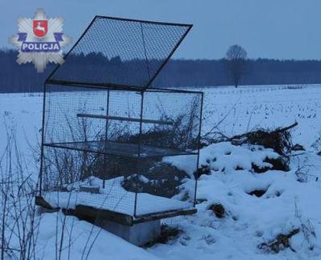 Funkcjonariusze, którzy pojechali we wskazane miejsce zastali pustą pułapkę żywołowną