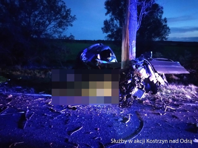 Na przestrzeni ostatnich pięciu lat na 12-kilometrowym odcinku drogi krajowej nr 22 zginęło osiem osób.