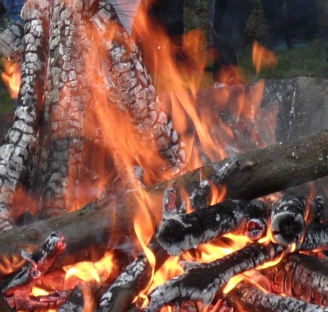 Zagrożenie pożarowe lasów. Pożar w Tychach