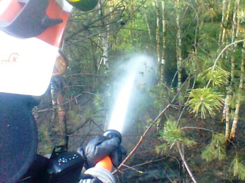 Pożar lasu na pograniczu miejscowości Maliniec i Bugaj