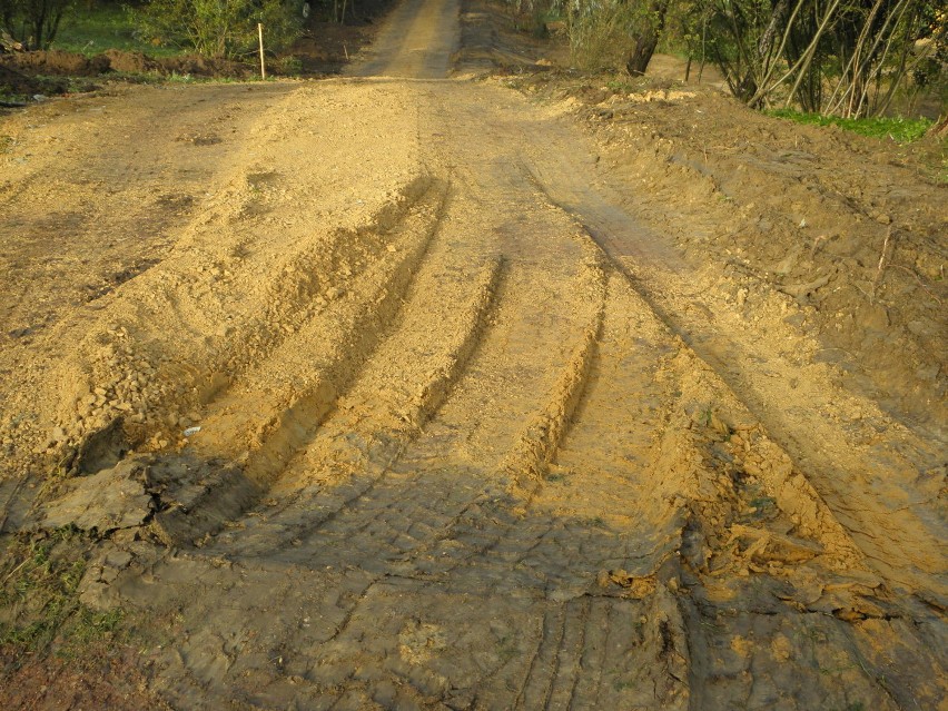 Park Cegielnia Żory. Budują nowe atrakcje: tor wrotkarski, trasy rowerowe. Co jeszcze?