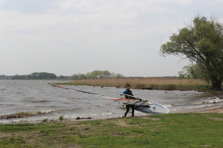 Windsurfing. Amatorzy sportów wodnych, jezioro Błędno w Zbąszyniu, deski i sprzyjające wiatry