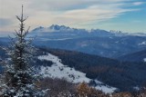 Beskid Sądecki. Zima zawitała w góry. Piękne widoki z Bacówki nad Wierchomlą, widać nawet Tatry. Zobacz zdjęcia