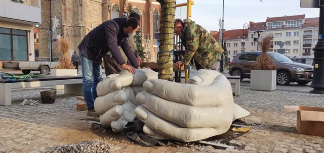 Kolejna ozdoba upiększy Rynek w Nysie. Na skwerze w centrum drzewo wyrasta z dłoni.