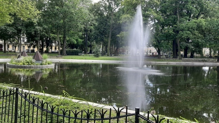 Park przy placu Kościszki, cień i fontanna