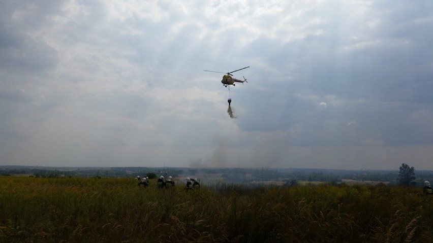 Płonęły trawy na terenie Wojkowic i Bobrowniki