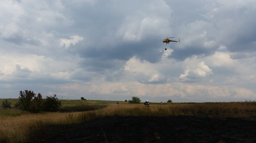 Płonęły trawy na terenie Wojkowic i Bobrowniki