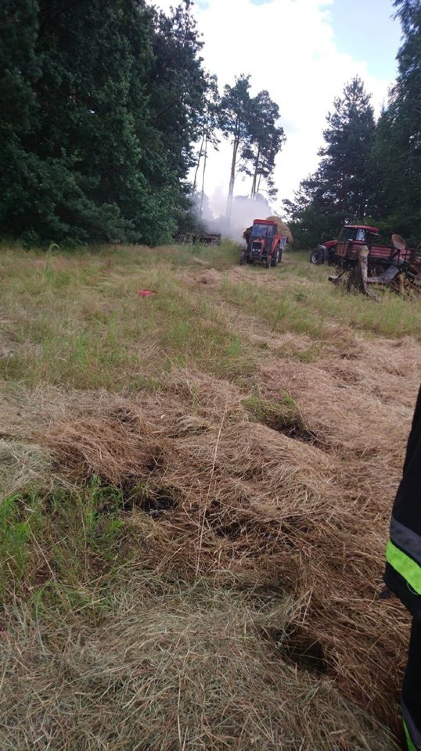 Pożar stodoły w Studziannie w gminie Poświętne. Mieszkańcy pomagali w porządkowaniu pogorzeliska [ZDJĘCIA]