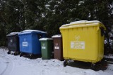 Nowe stawki za odbiór śmieci w Bełchatowie i gminie Bełchatów  