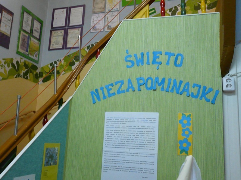 Przedszkole nr 2 w Lublińcu od 4 lat kultywuje Święto Polskiej Niezapominajki