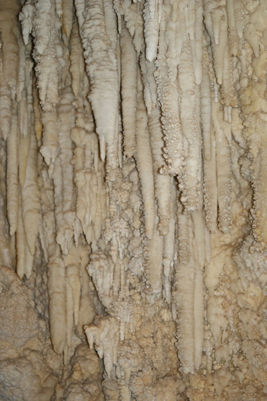 Ściana w jaskini pokryta wapiennymi soplami .Fot Ania Monka